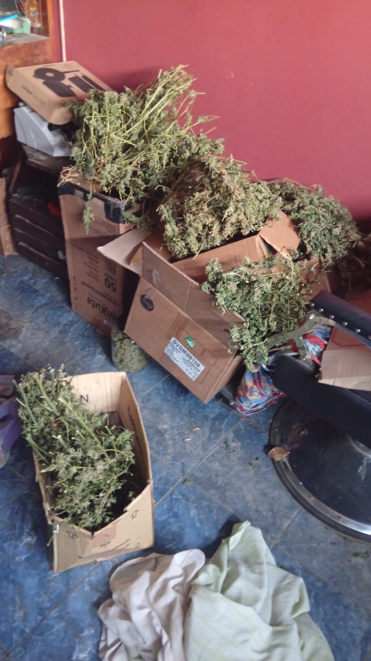 La droga. (Policía)