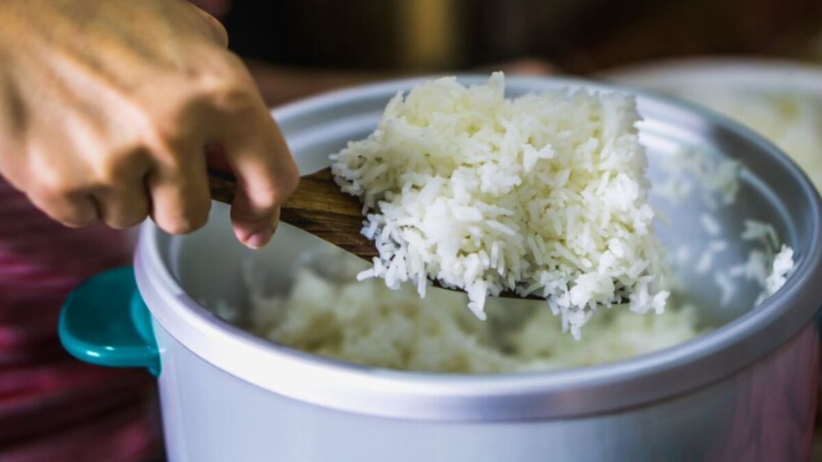 El consejo bromatológico sobre el arroz y cómo conservarlo.