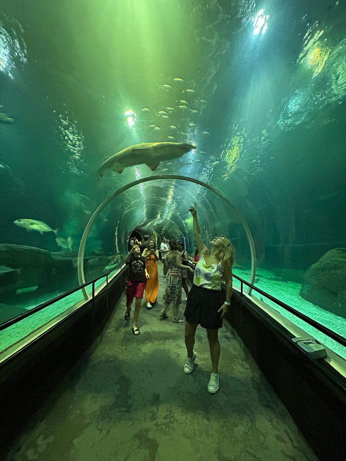 Acuario de Río, en la zona del puerto recuperado, es un fascinante recorrido en penumbra para ver de cerca animales extraordinarios. (Gentileza: Florencia Ripoll)