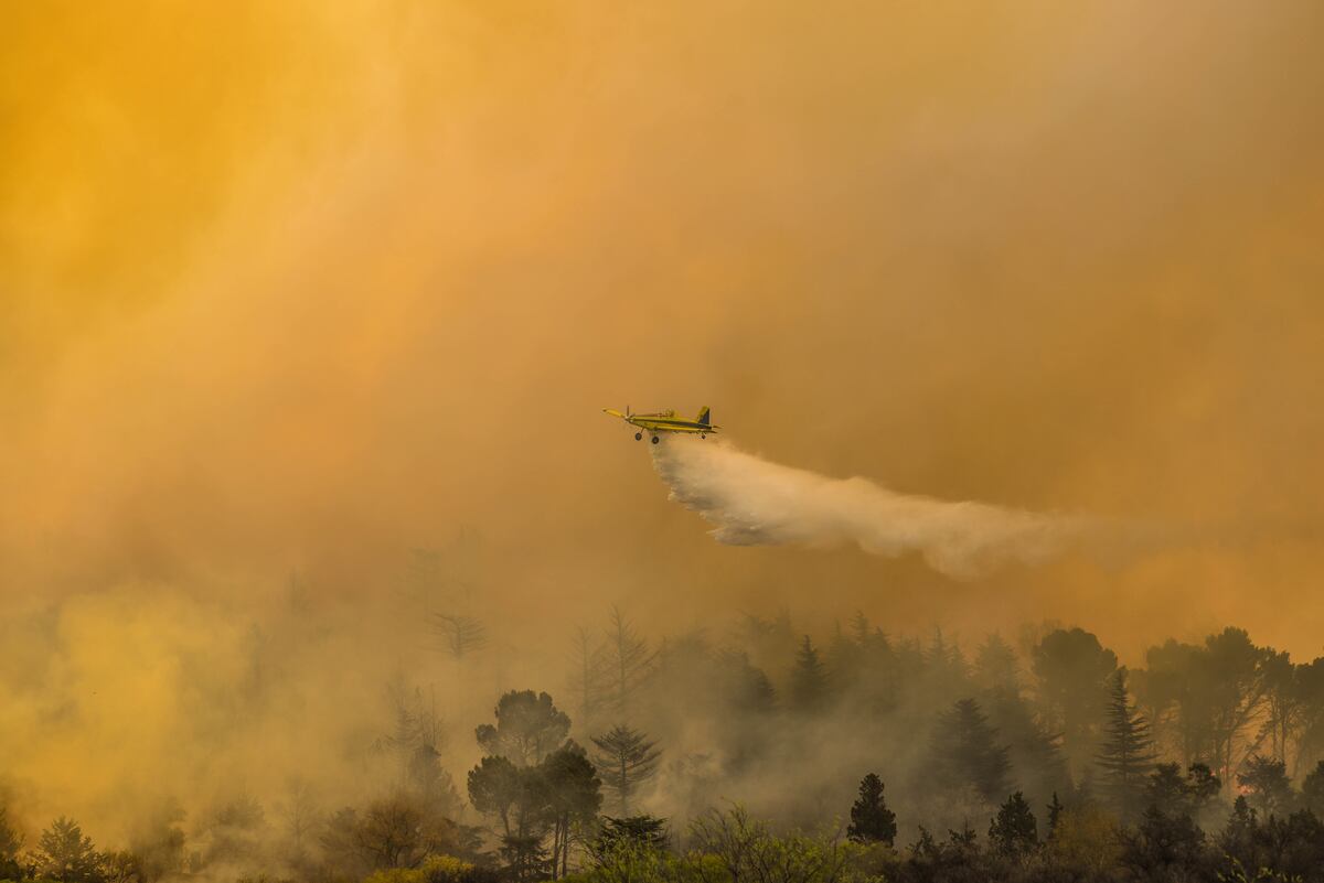 Incendios en el norte de Punilla en septiembre de 2024: fue el mayor foco del año pasado en Córdoba (La Voz)