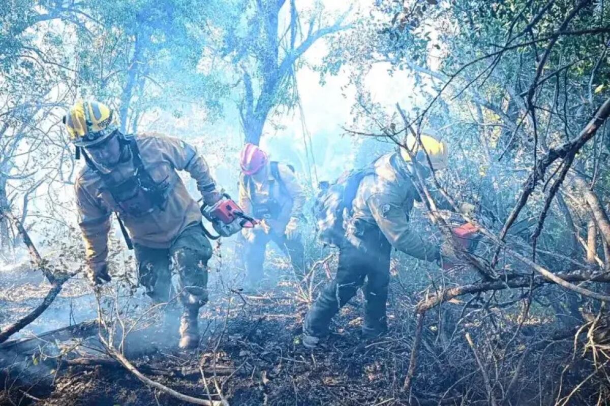 Incendio en el cerro Otto de Bariloche: después de varias horas de combate, está contenido y en etapa de guardia (gentileza Diario Rio Negro)