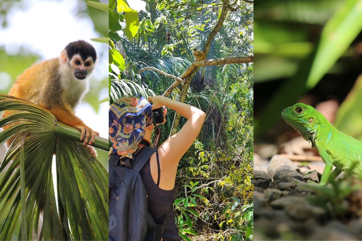 La fauna del lugar se traduce en colores y emociones a cada paso.
