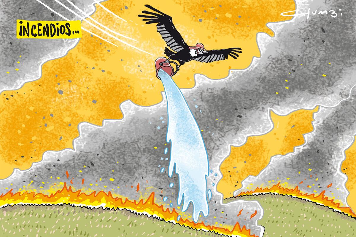 Ilustración de Chumbi.