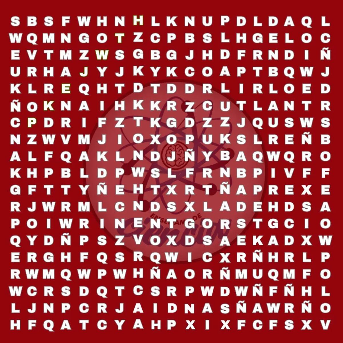 ¿Podrás encontrar la palabra?