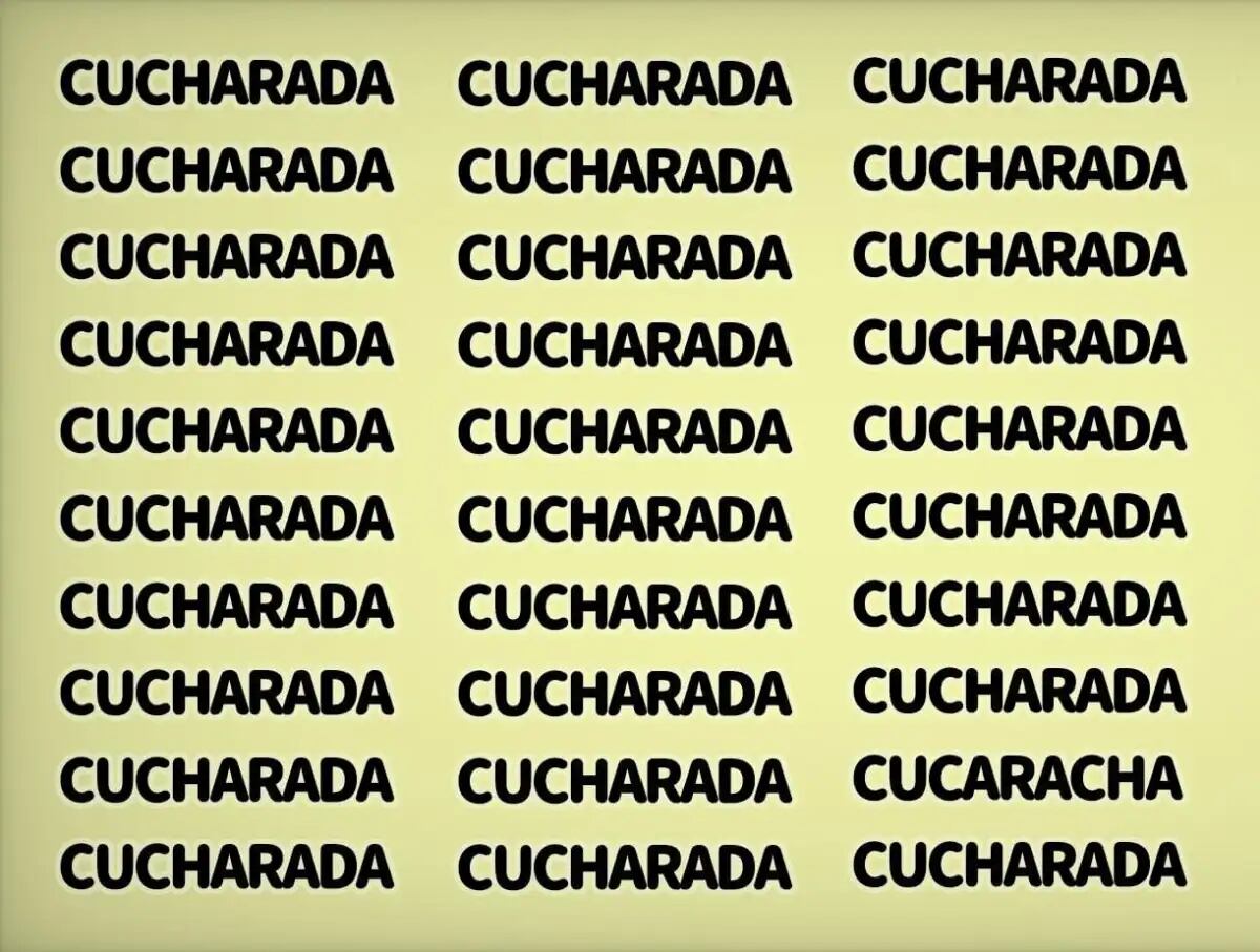 El acertijo visual.