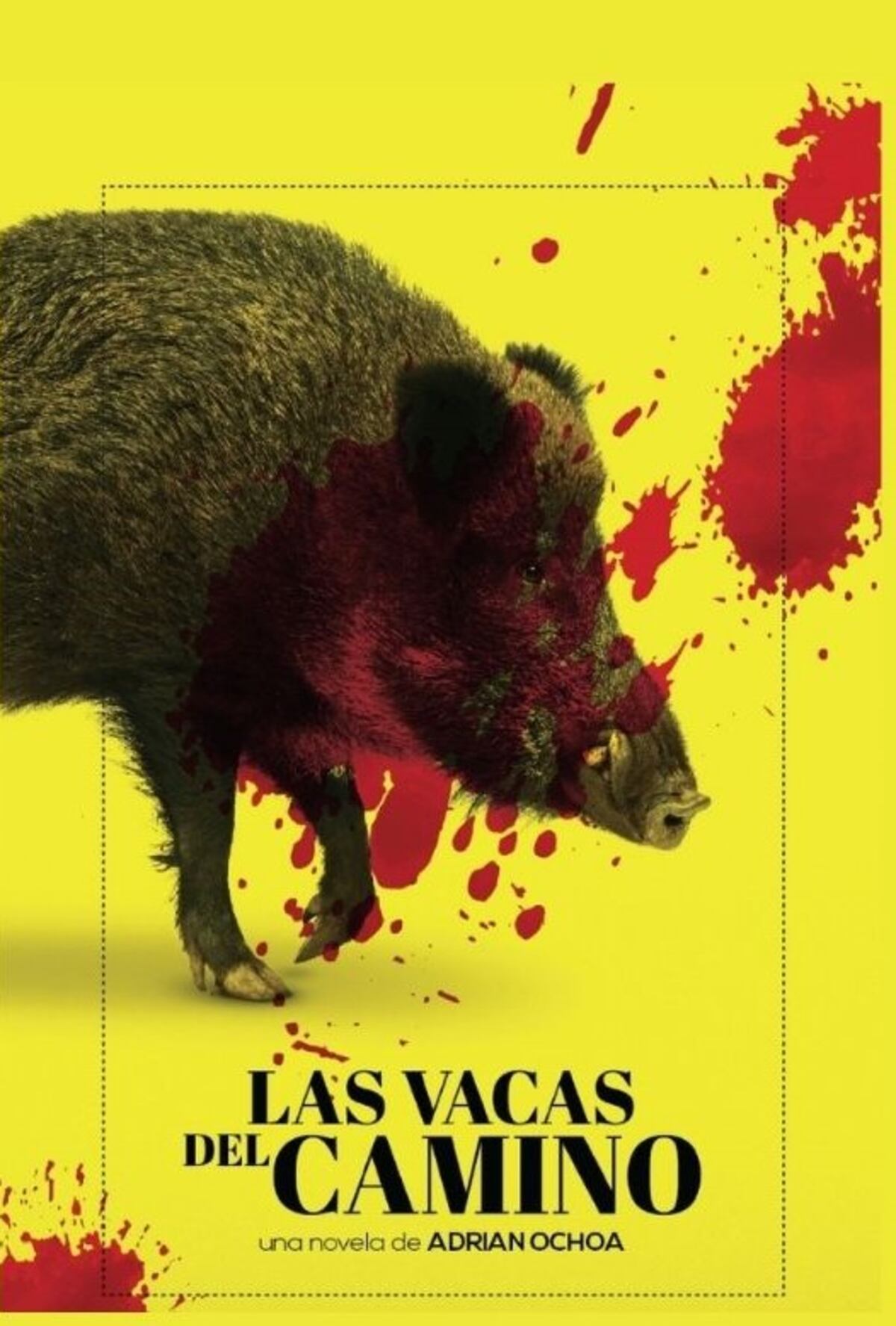 "Las vacas del camino", de Adrián Ochoa (Editorial Gráfica 29 de Mayo)