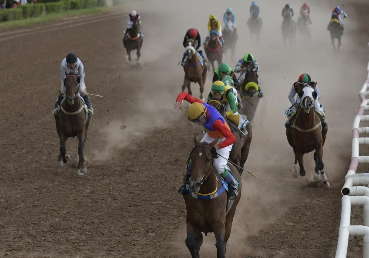 El uso de la fusta en caballos de carreras y las nuevas normativas que entrarán en vigencia.
