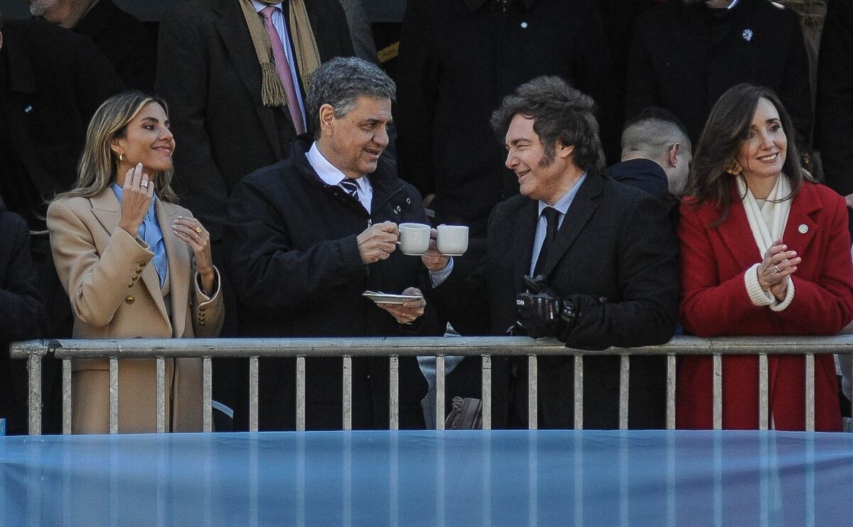 Javier Milei en el acto por el 9 de Julio. (Federico López Claro)