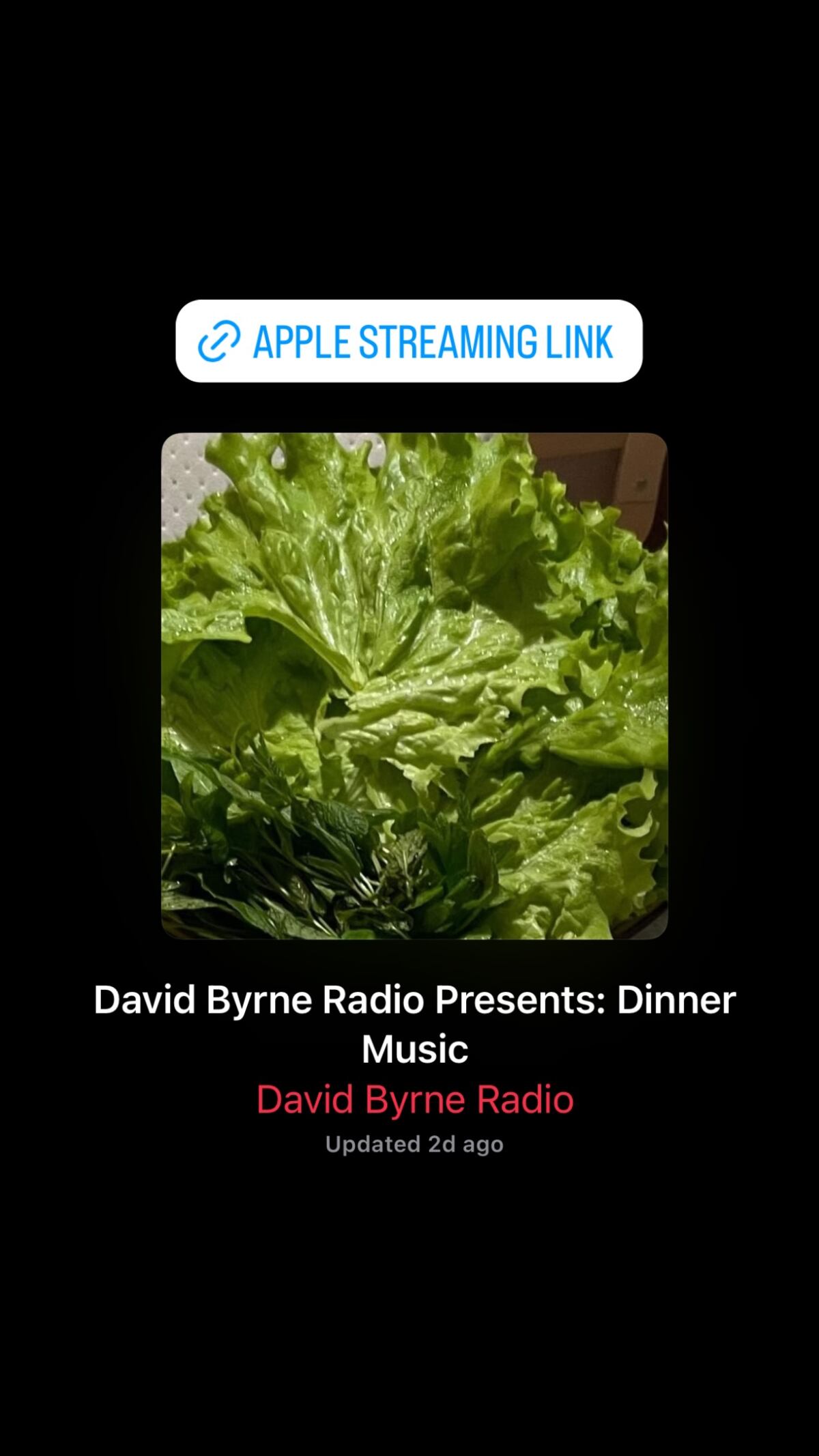 La playlist que David Byrne armó para que suene en su boda. (Captura)