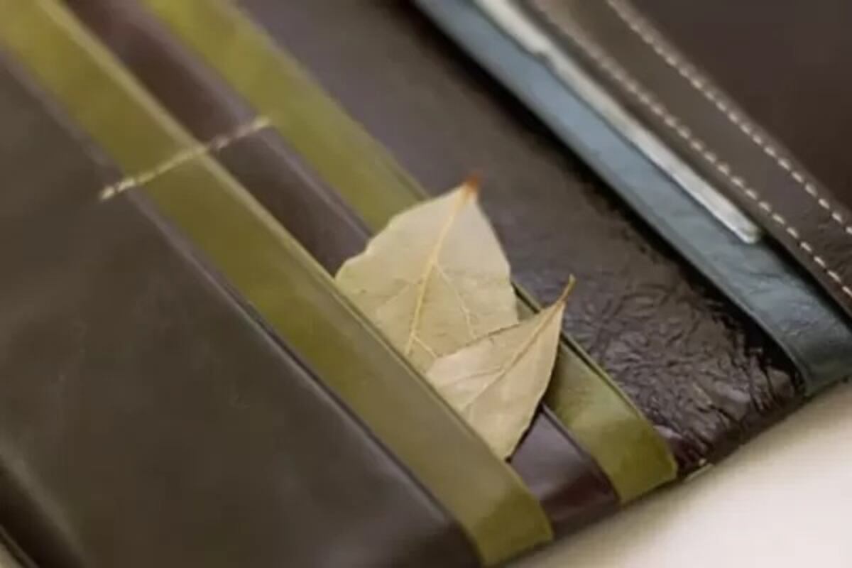 Feng Shui: la hoja que debés poner en la billetera para atraer riqueza y éxito