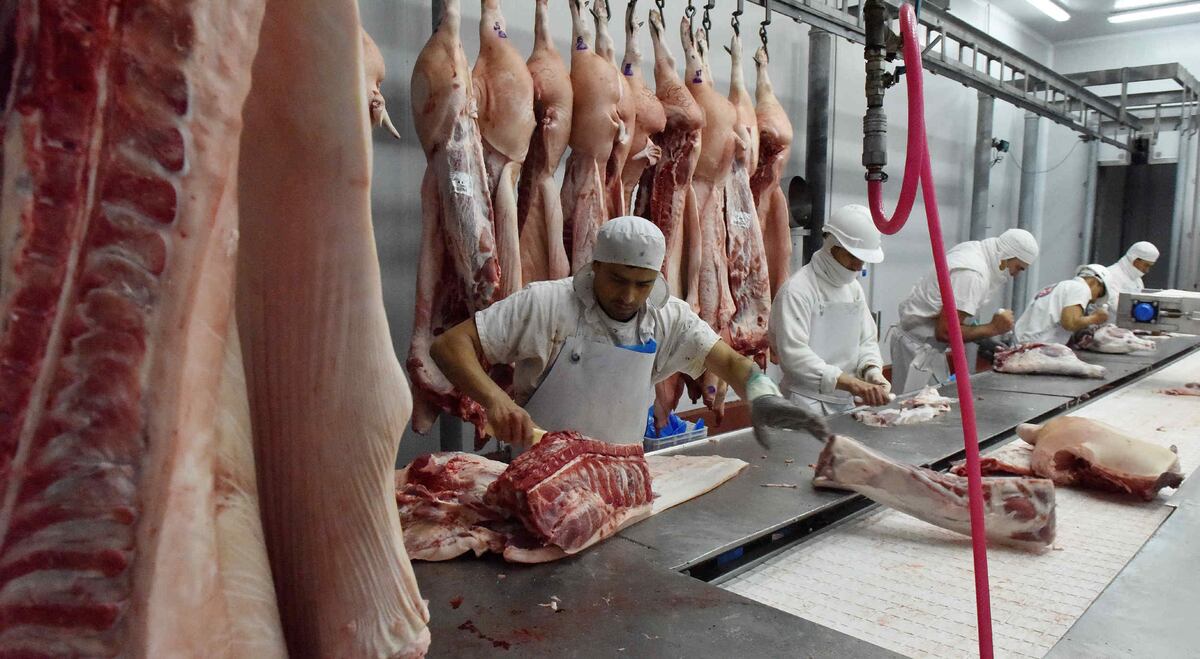 La industria porcina cerró 2025 con consumo en alza y precios más competitivos