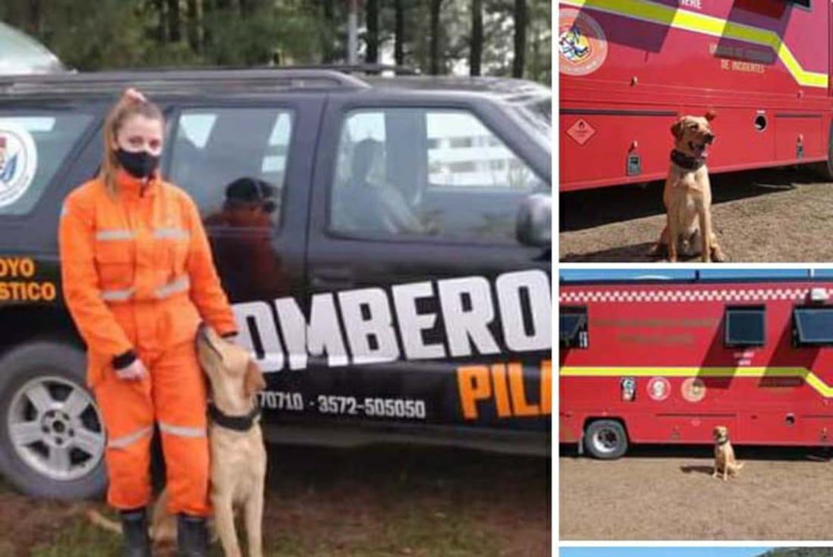 Bombera. Luana estaba acompañada por su perro Ciro, quien es un experto rescatista. (Gentileza familia Ludueña)