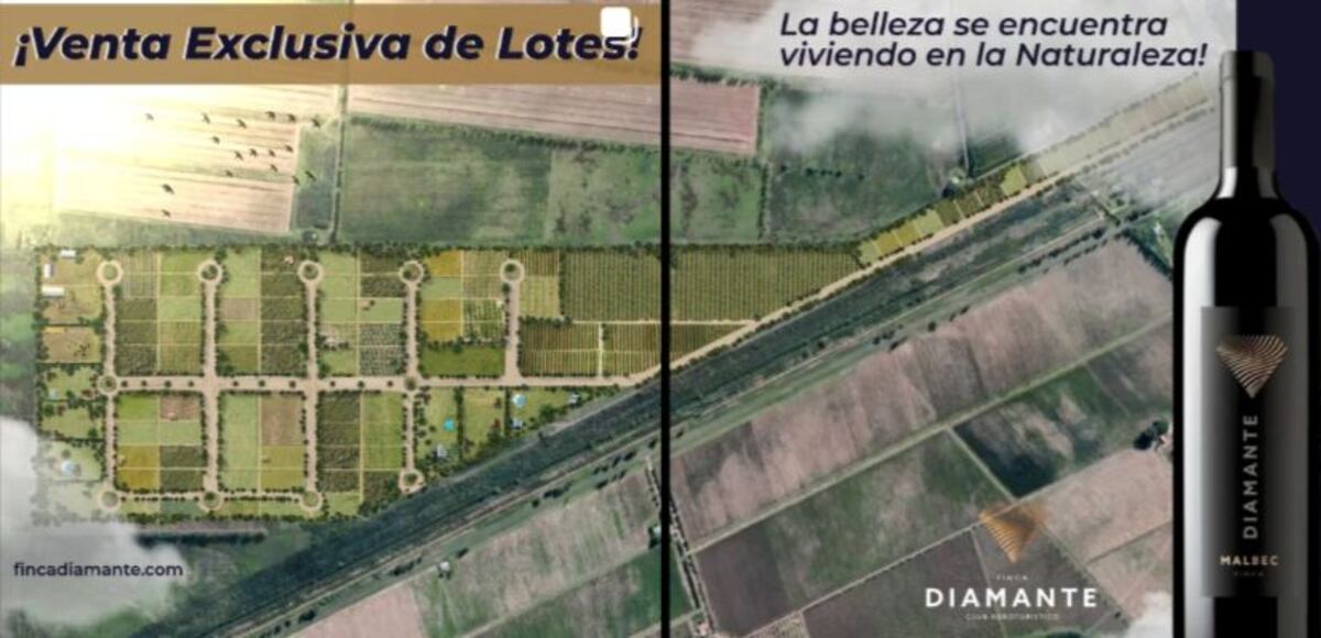 Finca Diamante. El render de los lotes. Prometían caballerizas y viñedos propios. (Instagram Finca Diamante)