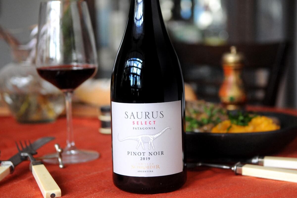 El pinot noir es la cepa emblema de la Patagonia. (Foto: Javier Ferreyra)