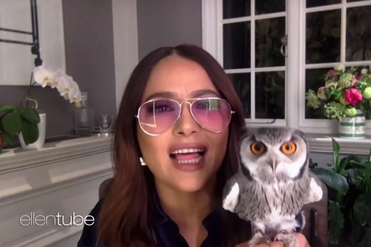 Salma y su mascota Karing, una lechuza