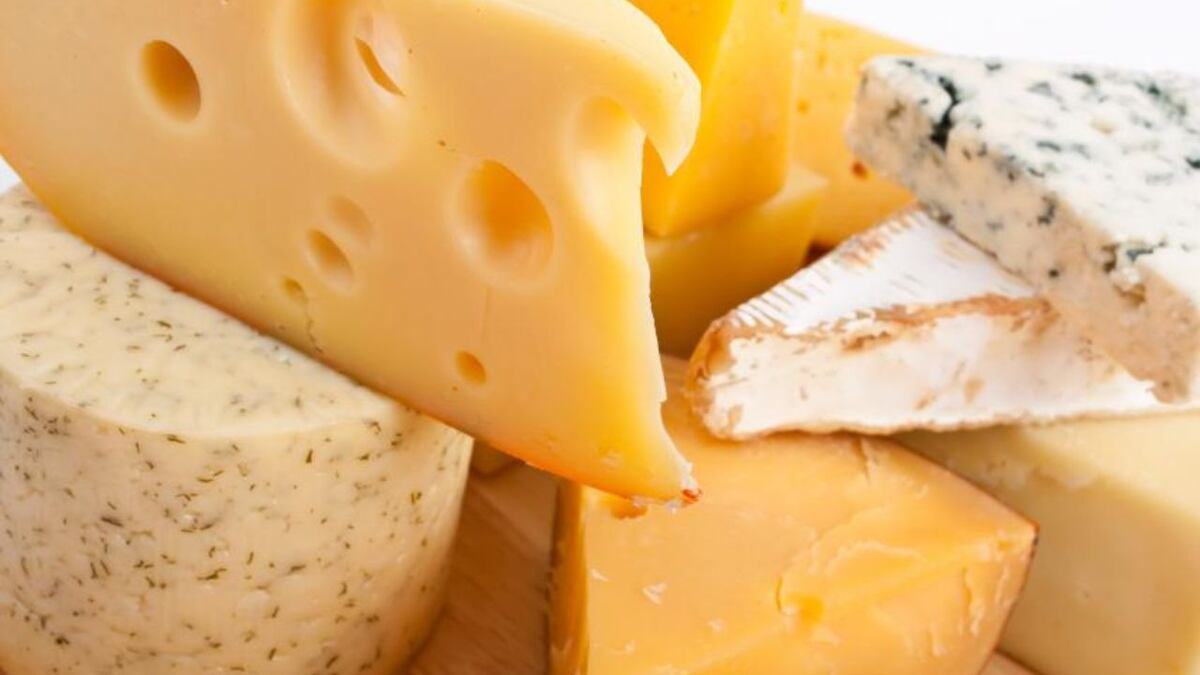 La industria del queso, clave en Villa María.