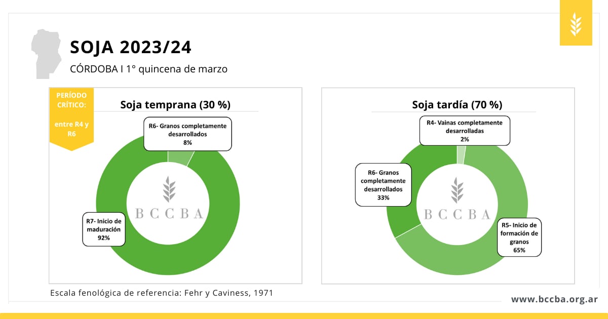 Cultivos estivales Córdoba