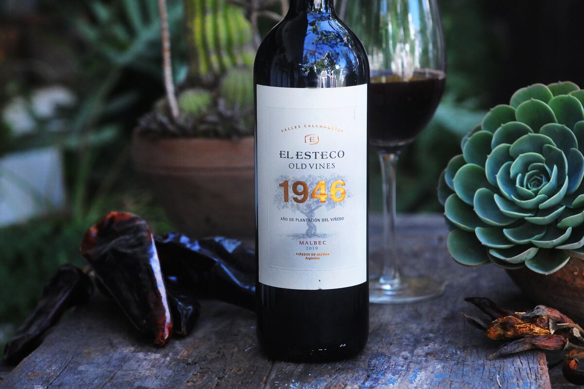 11 El Esteco Old Vines 2019 Salta (Javier Ferreyra).