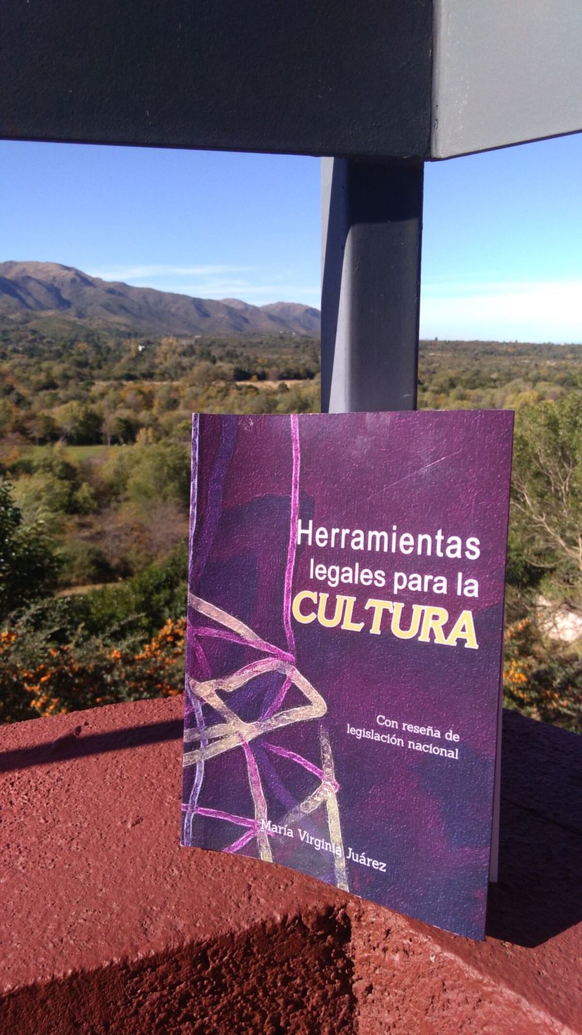 Virginia Juárez es autora del libro "Herramientas legales para la cultura".