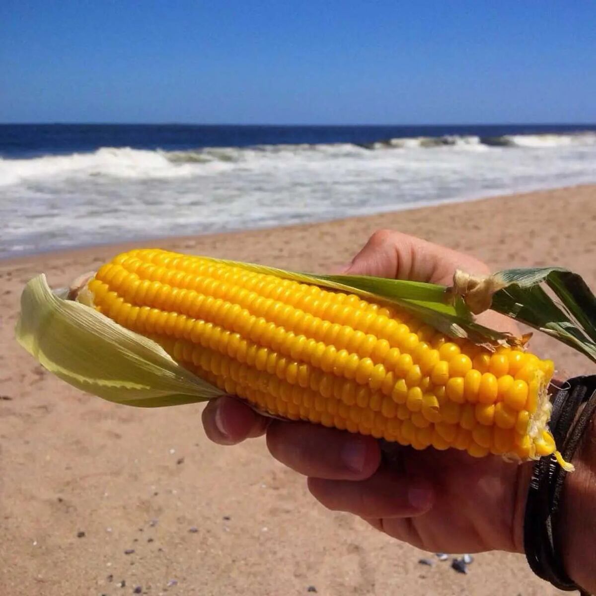 Comparación de precios: cuánto cuesta comer en la playa en la Costa Atlántica y en Brasil.