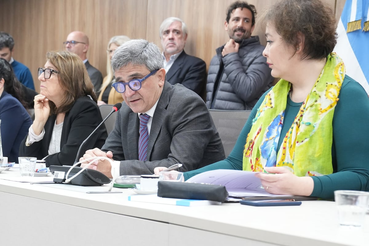 El presidente de la Comisión de Salud de Diputados, Pablo Yedlin, de Unión por la Patria (Foto: HCDN)
