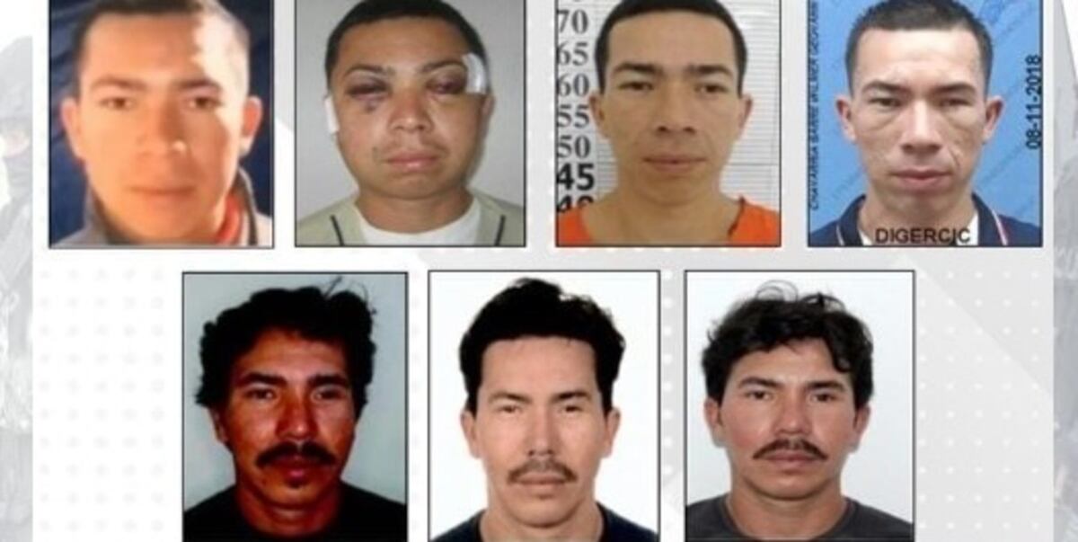 Cayó en España ‘Pipo’, el líder de Los Lobos.