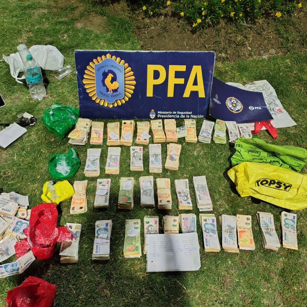 Secuestro de drogas. (PFA)
