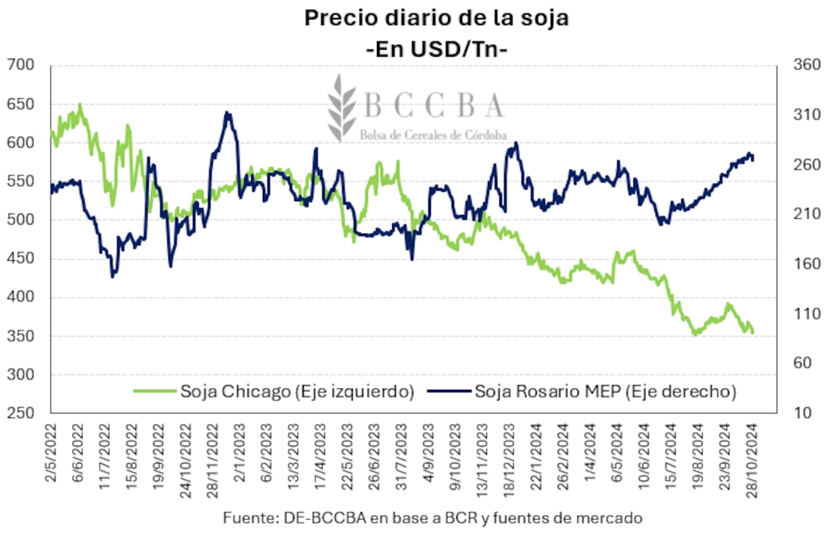 BCCBA