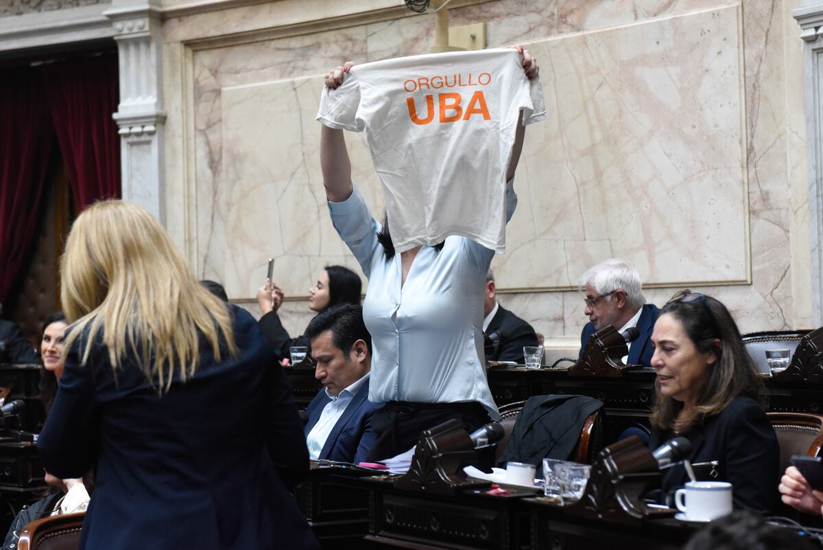 Diputados aprobó la insistencia del proyecto de Emergencia Sanitaria en la Salud Pediátrica y el proyecto de Ley de Financiamiento de la Educación Universitaria. (Corresponsalía)