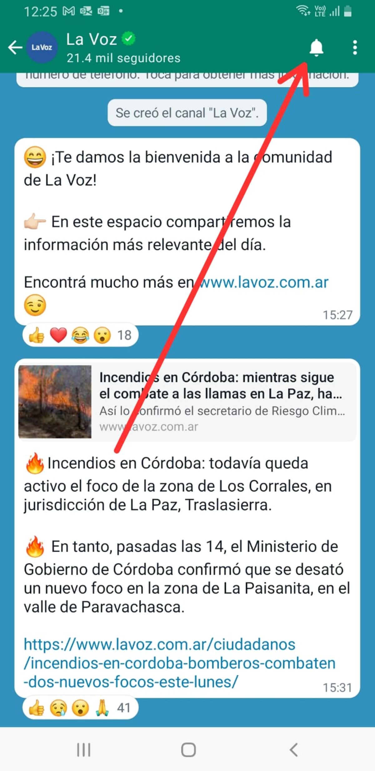 Canales de Whatsapp.
