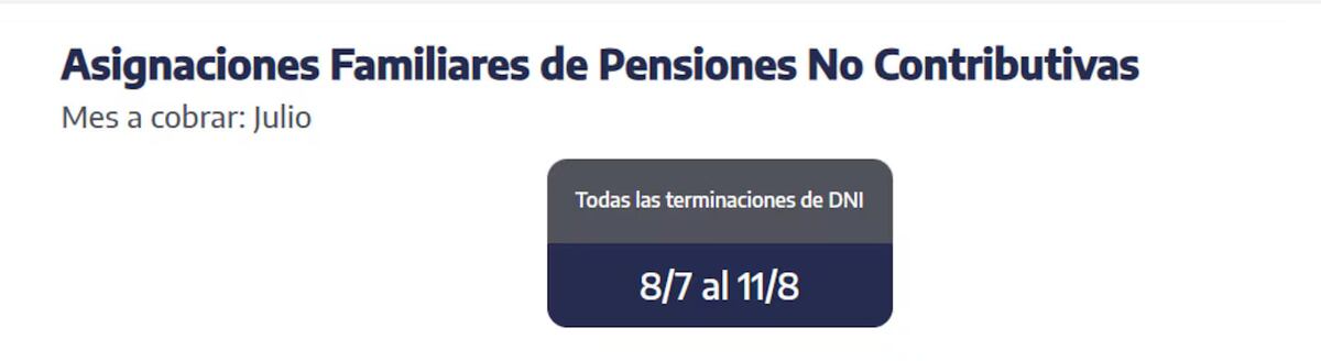 Asignaciones familiares de Pensiones no Contributivas. Captura sitio web Anses.