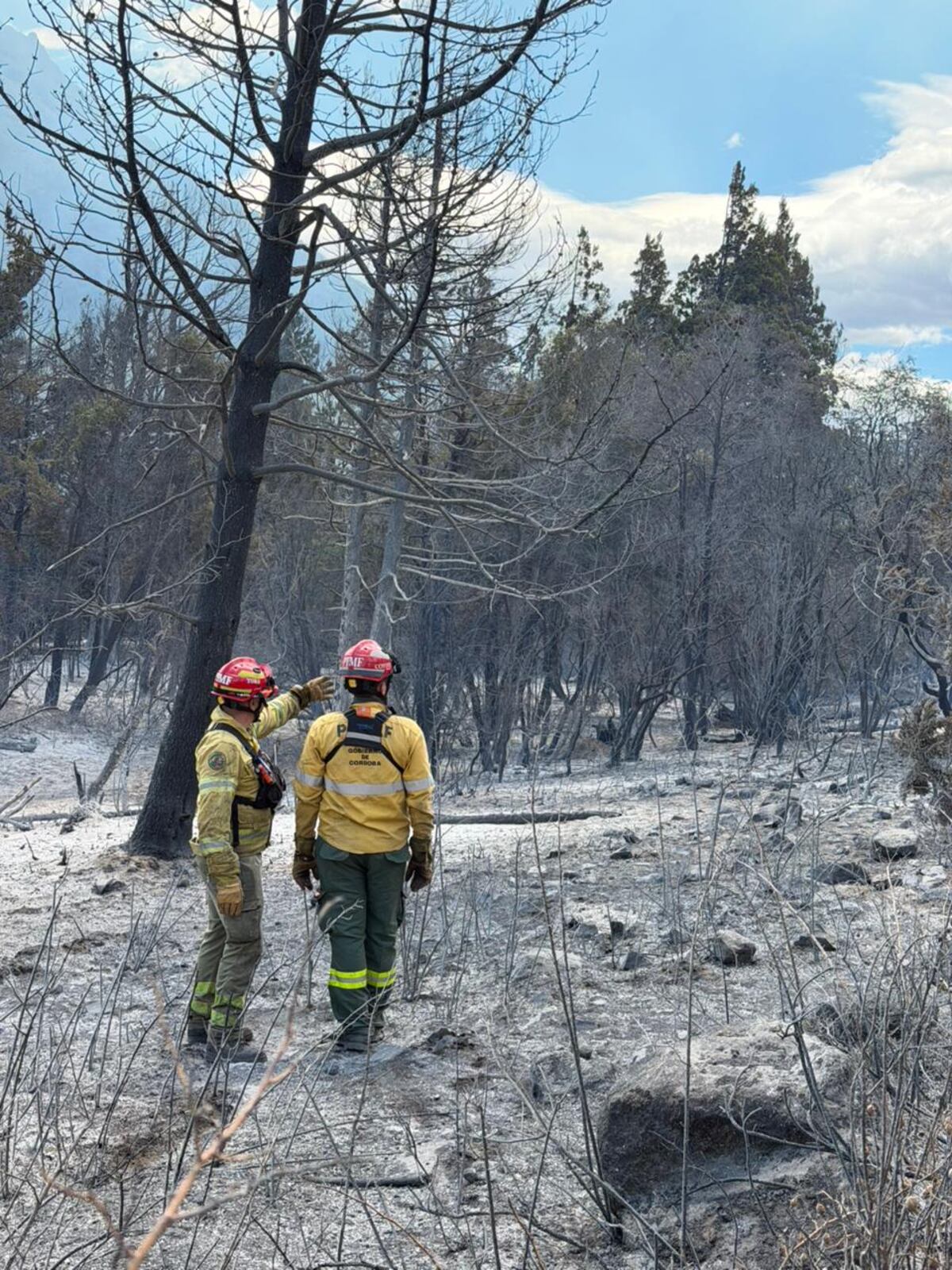 Bomberos de Córdoba combaten los incendios en Chubut. (Prensa Ministerio de Seguridad de Córdoba)