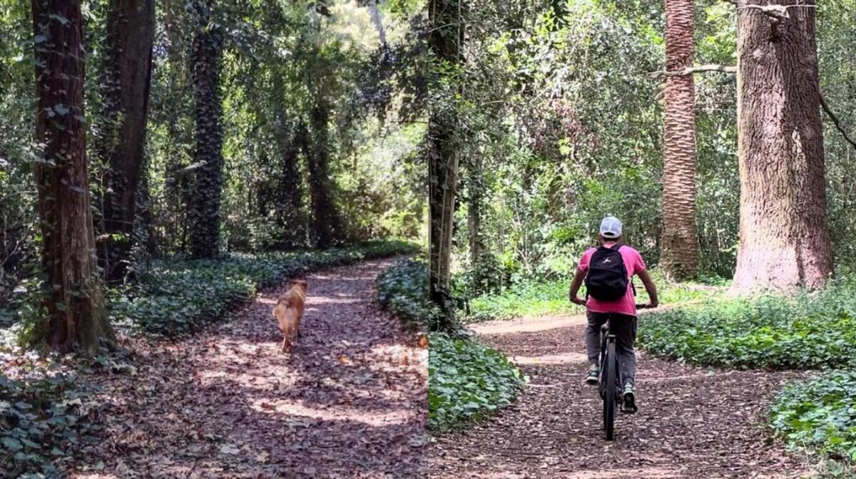 El refugio termal y natural a dos horas de Buenos Aires que se volvió la escapada del verano