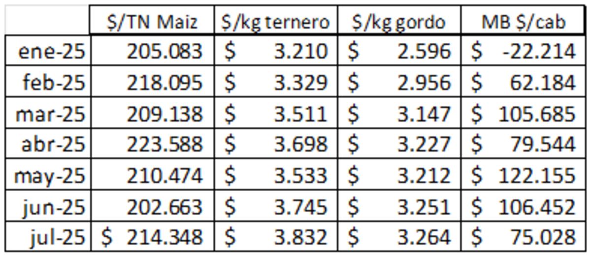 Tabla con valores de precio de maíz pizarra Rosario (BCR), del kg de ternero para reposición (Rosgan), del kg de animal gordo para faena (MAG Cañuelas) y margen bruto $ por cabeza, desde enero 2025 a julio 2025.