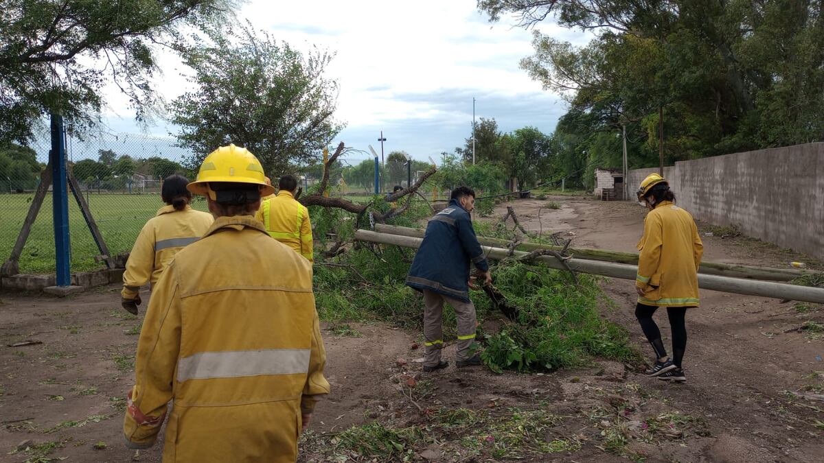 Personal de Defensa Civil trabaja tras los destrozos del temporal.