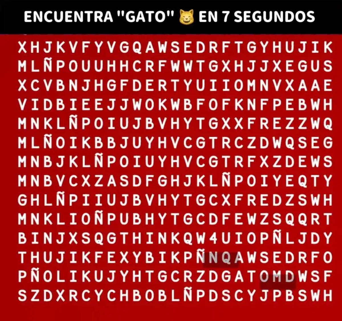El acertijo visual.