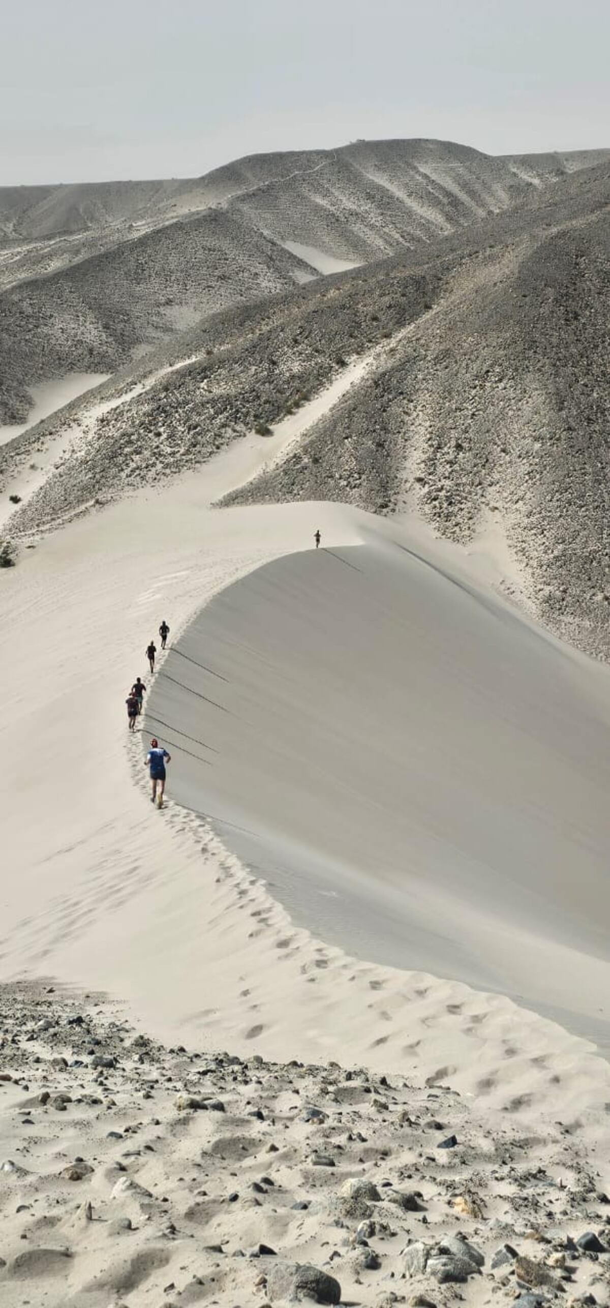 El grupo de running desafiando las dunas de Catamarca