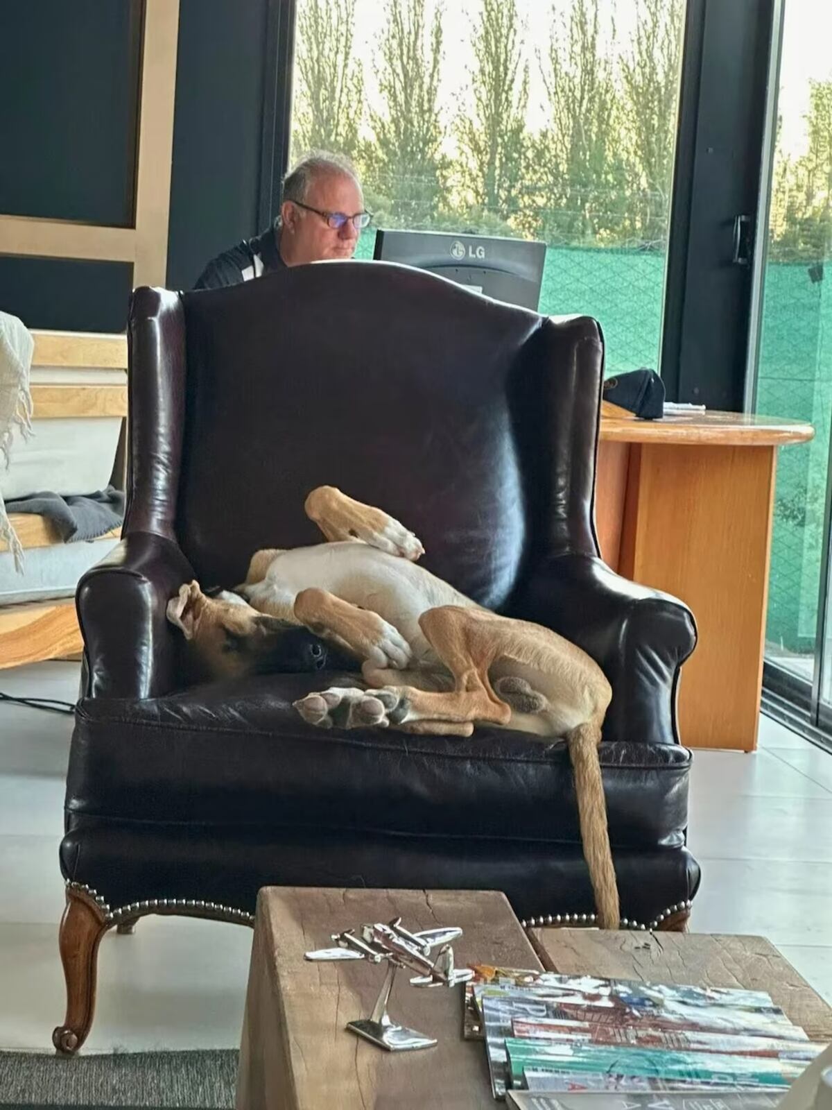 Darío Hernández trabajando junto a uno de sus cachorros que será testigo honorífico en su cesamiento.
