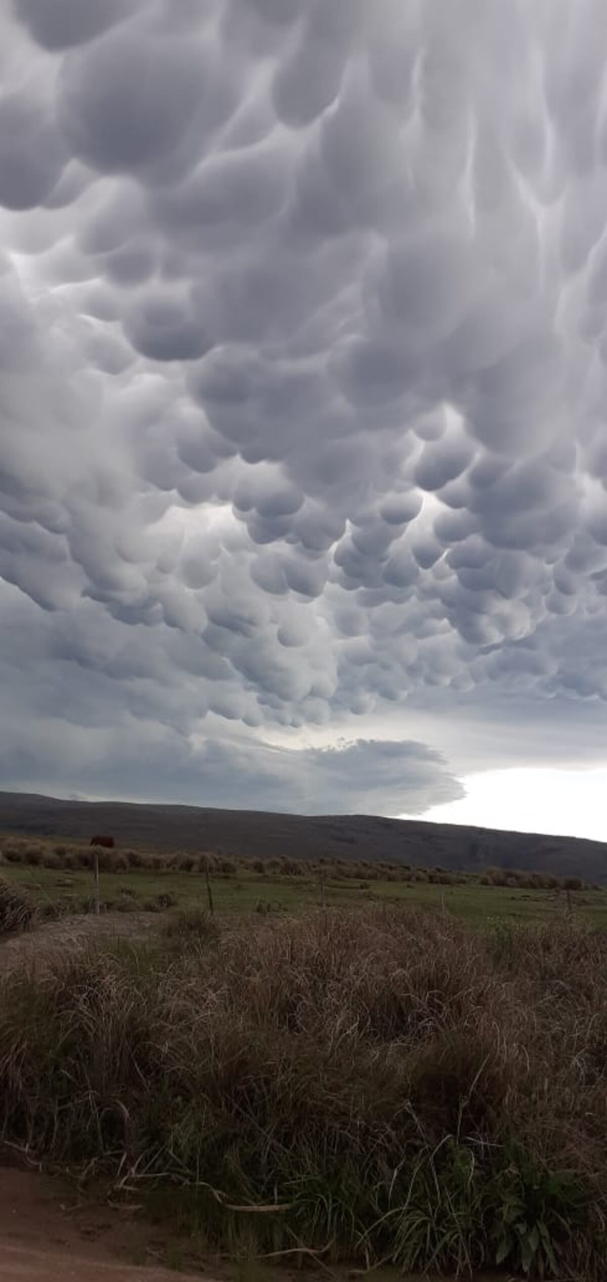 Nubes mammatus. En la naciente del río Yuspe.