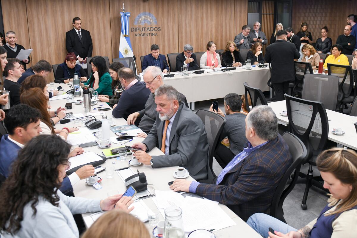 El ministro de Salud, Mario Lugones, y el interventor de la ANDIS, Alejandro Vilches, faltaron a las comisiones (Foto: HCDN)