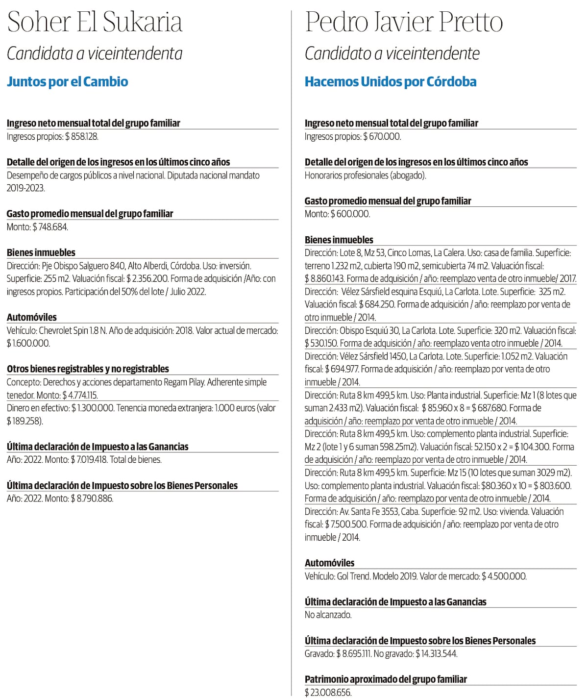 Declaracion jurada de los candidatos a Intendente 2023