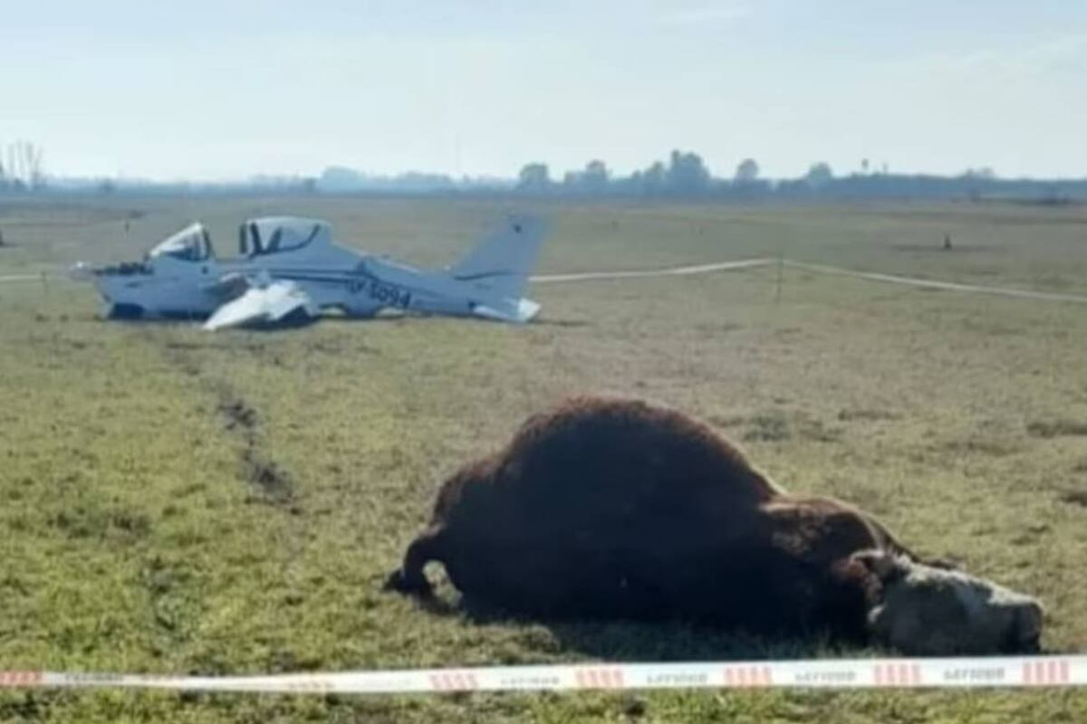 Chivilcoy: una avioneta impactó contra un toro en un aeroclub