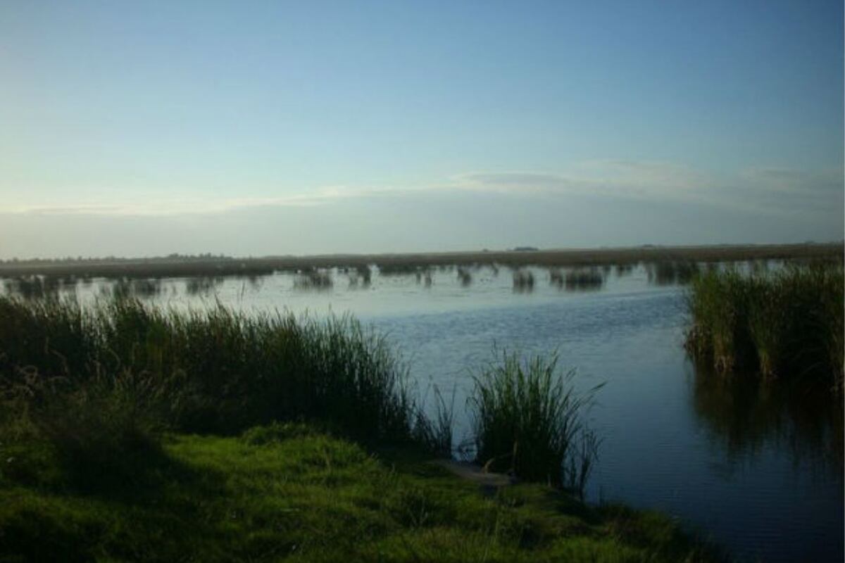 La Reserva Natural de Fauna La Felipa ingresará dentro de la planificación estratégica de conservación. (Gentileza)