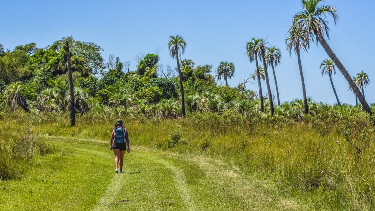 Descubren un nuevo beneficio (otro más) de vivir cerca de la naturaleza