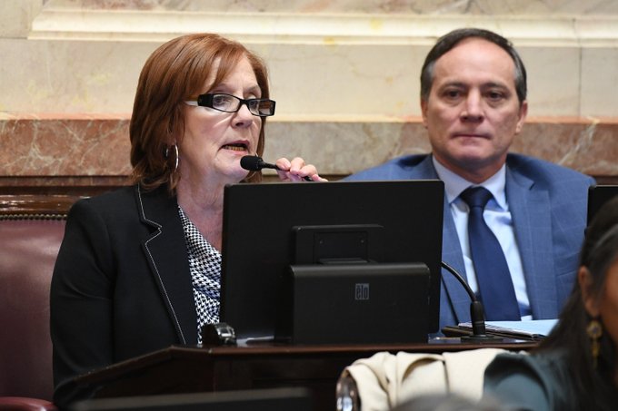 La senadora cordobesa Alejandra Vigo. (Foto: Comunicación Senado)