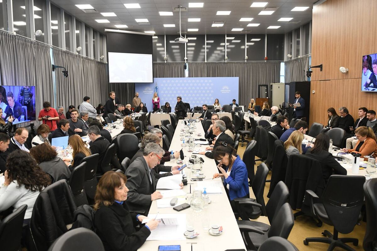 La Comisión de Presupuesto dictaminó sobre el reparto de ATN (Foto: HCDN)