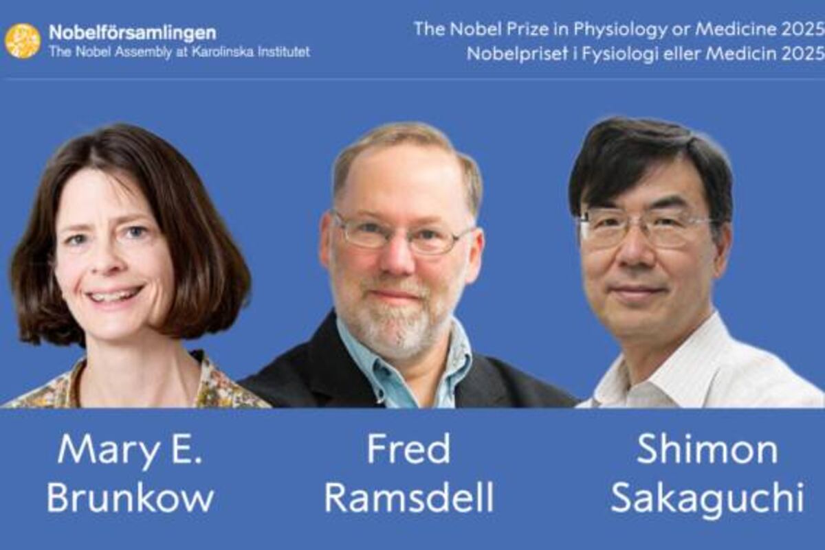 Los ganadores del Nobel de Medicina 2025. 