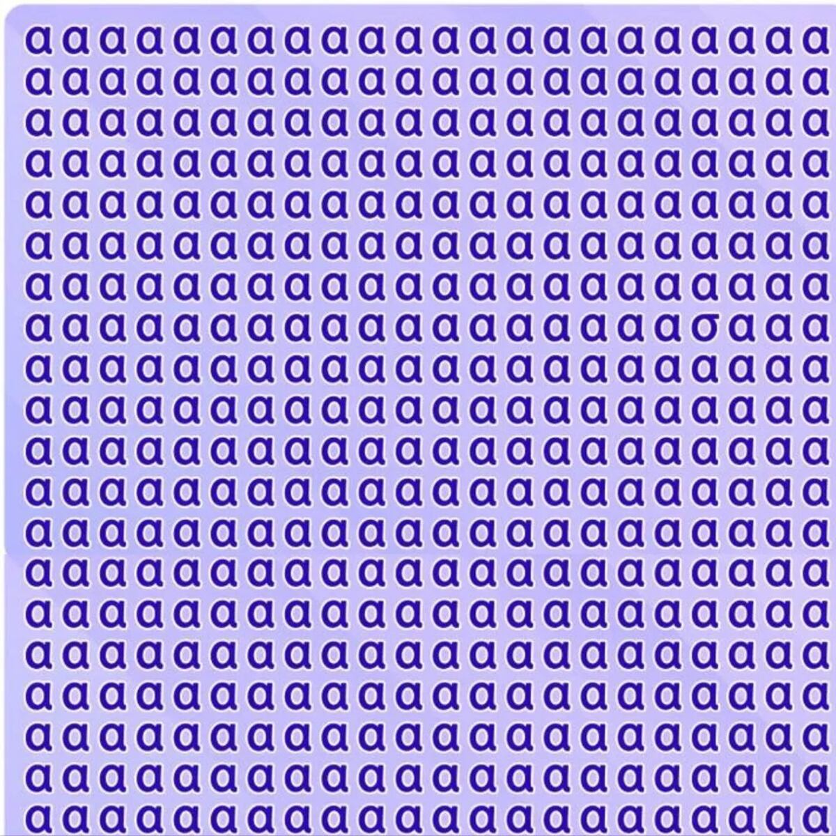 El acertijo visual.