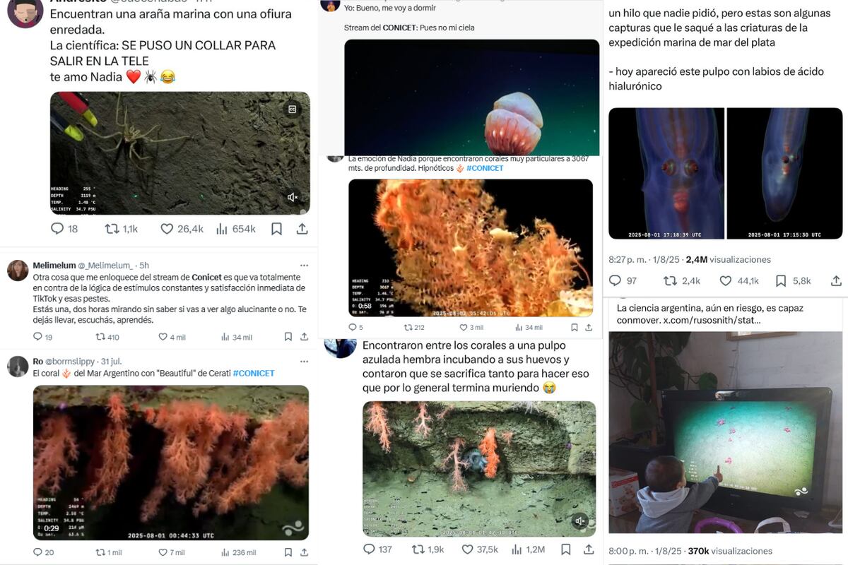 Capturas de algunas publicaciones virales en X sobre el streaming del Conicet.