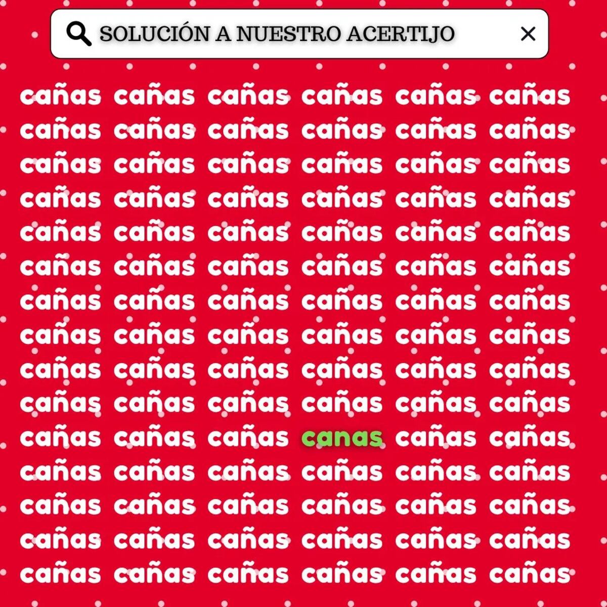 La solución del acertijo visual.